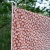 Belle Amie, fabric, terracotta, 150cm