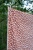 Belle Amie, oil cloth fabric, terracotta, 145cm
