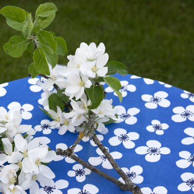 Belle Amie, blue oil cloth