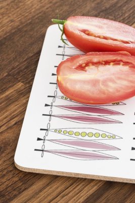 Picknick, serving board, blue pink, 30x20cm