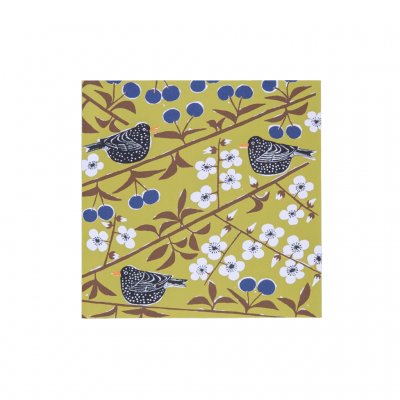 Körsbärsträdgården, card with envelope, yellow