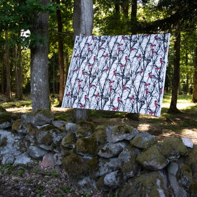 Domherrar, fabric, 150cm