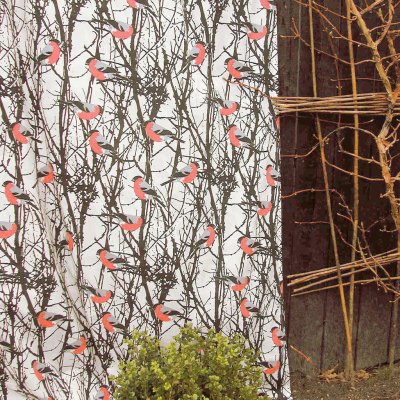 almedahls_domherrar,metervara_100581-0000