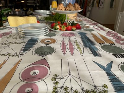 Picknick, oil cloth,145x220cm, blue pink 