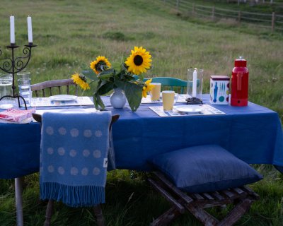 Picknick placemat multi